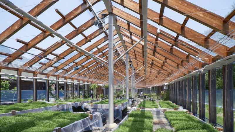 architektura malých farem