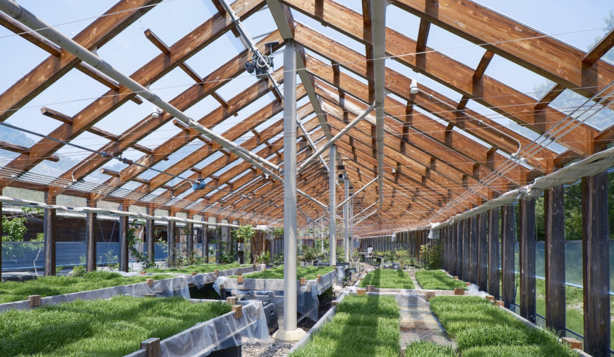 architektura malých farem