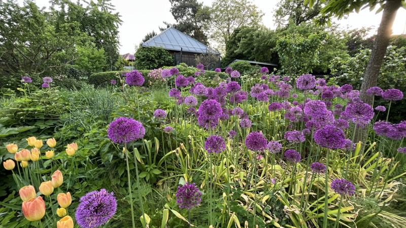 tvorba přírodních zahrad