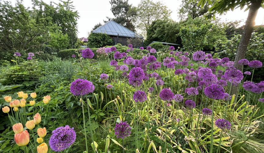 tvorba přírodních zahrad